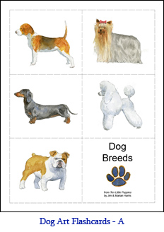 Small Format Dog Flashcards – Set A – Dogs